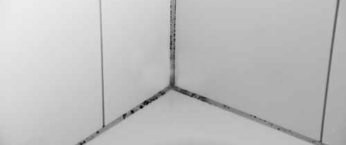 joints - salle de bains