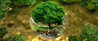 protection de l environnement