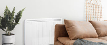 salon avec plante et canape beige -radiateur electrique performant en arriere plan
